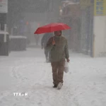 Tuyết rơi dày tại New York, Mỹ. (Ảnh: THX/TTXVN)