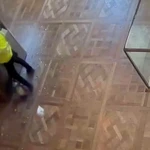 Người đội mũ trùm đầu màu đen và mặc áo phản quang vàng trong vụ trộm. (Ảnh: TF1)