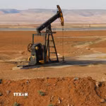 Một trạm xăng ở Ankara, Thổ Nhĩ Kỳ. (Ảnh: THX/TTXVN)