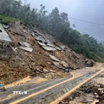 (Ảnh minh họa: Anh Dũng/TTXVN)