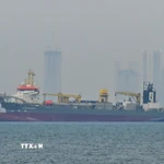 Tàu thương mại neo ngoài khơi Dubai, Các tiểu vương quốc Arab thống nhất, khi hoạt động hàng hải bị gián đoạn tại eo biển Hormuz, ngày 2/3/2026. (Ảnh: Anadolu Agency/TTXVN)