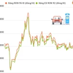 Giá xăng E5 RON 92 ở mức 19.800 đồng một lít
