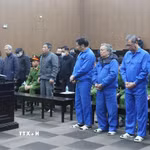 Các bị cáo tại VICEM được giảm án trong vụ "tòa tháp nghìn tỷ" bị bỏ hoang
