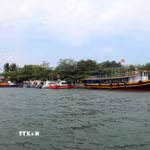 (Ảnh minh họa. Đỗ Trưởng/TTXVN)