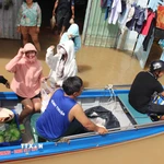Các nhóm thiện nguyện dùng xuồng chèo đến phát cơm tận tay người dân vùng ngập nghiêm trọng. (Ảnh: Hồng Hiếu/TTXVN)