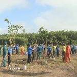 Phát động trồng cây xanh. (Ảnh: K GỬIH/TTXVN)