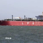 Tàu chở dầu khí tự nhiên hóa lỏng di chuyển qua eo biển Hormuz về tới cảng Mundra ở Kutch, Ấn Độ ngày 16/3/2026. (Ảnh: ANI/TTXVN)