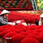 Sản xuất hương truyền thống ở Quảng Phú Cầu. (Ảnh: Thành Phương/TTXVN)