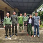 Lực lượng chức năng tiếp nhận cá thể khỉ vàng quý hiếm. (Ảnh: TTXVN phát)