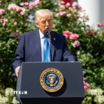 Tổng thống Mỹ Donald Trump phát biểu tại Nhà Trắng. (Nguồn: THX/TTXVN)