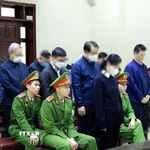 Các bị cáo trong phiên toà. (Ảnh: Tuấn Anh/TTXVN)
