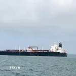 Tàu chở khí dầu mỏ hóa lỏng cập cảng Vadinar ở Gujarat, Ấn Độ ngày 17/3/2026, sau khi di chuyển qua eo biển Hormuz. (Ảnh: ANI/TTXVN)