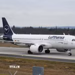 Máy bay của hãng hàng không Lufthansa tại sân bay Frankfurt, Đức. (Ảnh: THX/TTXVN)