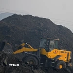 Vận chuyển than tại mỏ than ở Singrauli, bang Madhya Pradesh, Ấn Độ. (Ảnh: AFP/TTXVN)