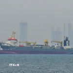 Tàu thương mại thả neo ngoài khơi Dubai, Các tiểu vương quốc Arab thống nhất (UAE) khi tuyến hàng hải qua eo biển Hormuz bị gián đoạn do xung đột, ngày 2/3/2026. (Ảnh: AA/TTXVN)