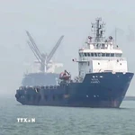 (Ảnh minh họa. ANI/TTXVN)