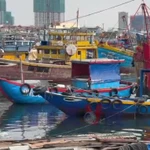 Đà Nẵng chuyển biến từ cơ sở trong nỗ lực gỡ thẻ vàng IUU