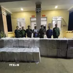 Đối tượng Trần Văn Nhựt bị tạm giữ cùng tang vật. (Ảnh: TTXVN phát)