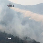 Trực thăng cứu hỏa phun nước dập cháy rừng tại tỉnh Nam Gyeongsang, Hàn Quốc. (Ảnh: Yonhap/TTXVN)