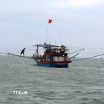 Tàu đánh cá trên biển. (Ảnh: Đỗ Trưởng/TTXVN)