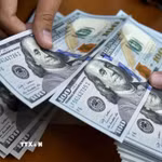 Với biên độ ±5%, tỷ giá trần là 26.367 VND/USD và tỷ giá sàn là 23.855 VND/USD. (Ảnh: AFP/TTXVN)