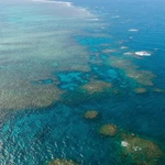 Rạn san hô Great Barrier tại Queensland, Australia. (Ảnh: THX/TTXVN)