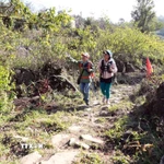 Đường đá cổ Pavi hướng đi từ xã Sin Suối Hồ, tỉnh Lai Châu sang xã Dền Sáng, tỉnh Lào Cai. (Ảnh: Quý Trung/TTXVN)