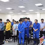 Các bị cáo nghe đại diện Viện Kiểm sát luận tội. (Ảnh: Kim Anh/TTXVN)