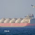 Tàu hàng di chuyển qua eo biển Hormuz khi lệnh ngừng bắn giữa Mỹ với Iran có hiệu lực trong hai tuần, ngày 8/4/2026. (Ảnh: Anadolu Agency/TTXVN)