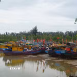 Quảng Ninh và Hải Phòng đồng loạt triển khai các phương án ứng phó khẩn cấp, kêu gọi tàu thuyền vào nơi tránh trú. (Ảnh: Hoa Mai/TTXVN)