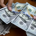 Đồng USD. (Ảnh: AFP/TTXVN)