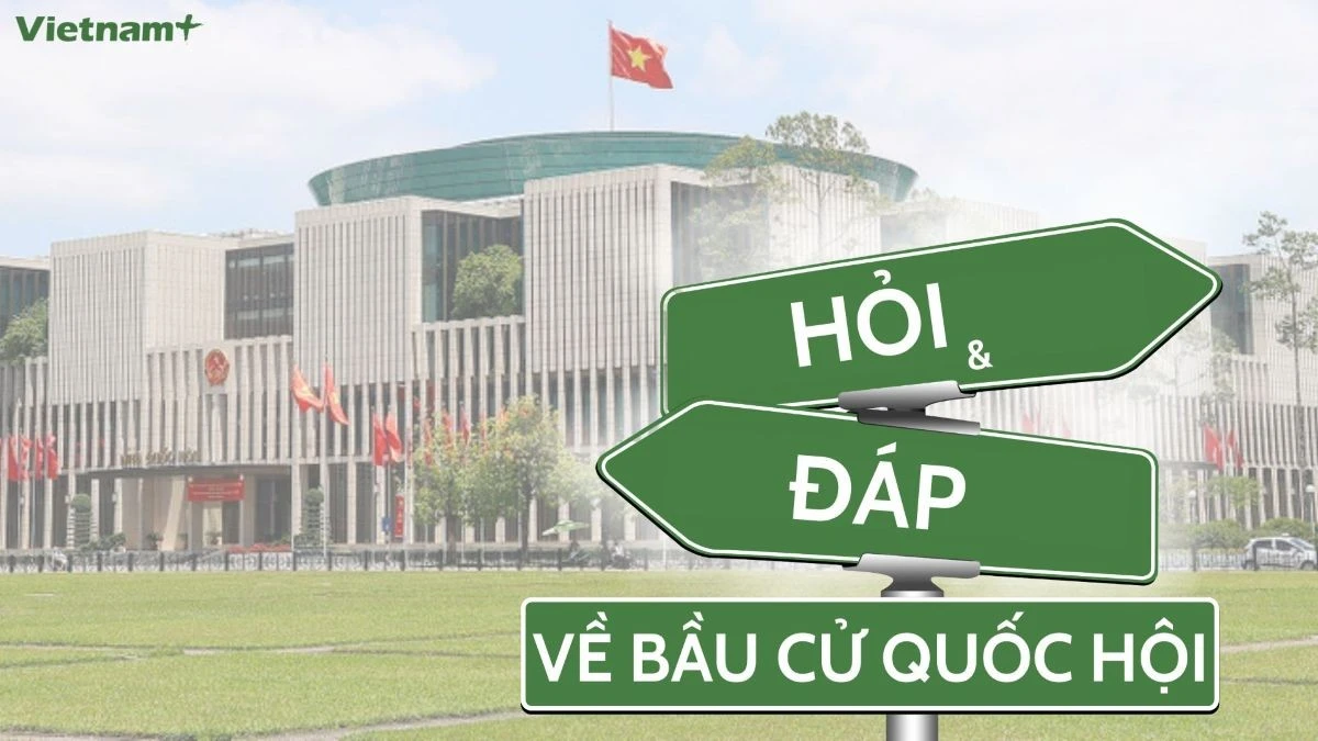 Hướng dẫn chi tiết cách đăng ký vào danh sách cử tri cho sinh viên, công nhân