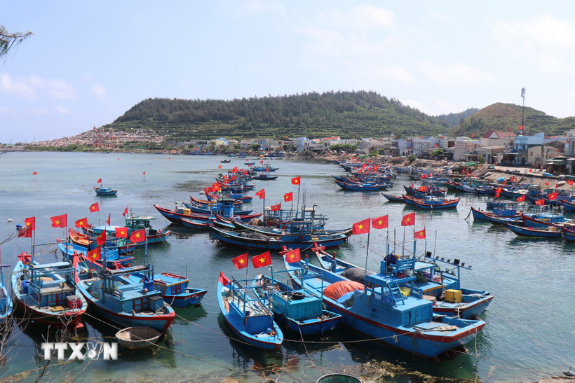 Cờ Tổ quốc trên nhiều tàu cá ở đặc khu Lý Sơn (Quảng Ngãi), hướng về Ngày bầu cử. (Ảnh: Phạm Cường/TTXVN)