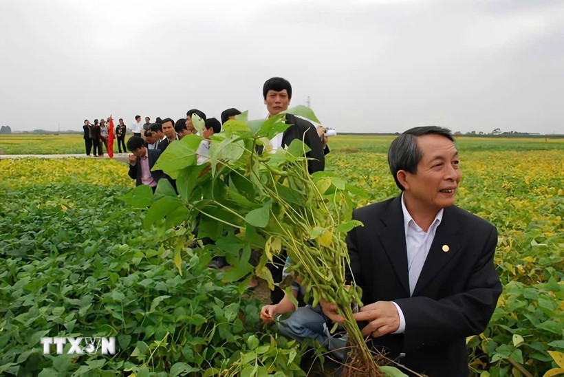 Giáo sư, Viện sỹ Trần Đình Long với thành tựu nghiên cứu của mình. (Ảnh: Diệu Thúy/TTXVN)