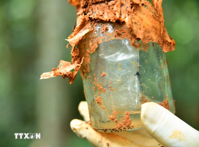 Lọ thủy tinh an táng kèm hài cốt liệt sỹ chứa giấy có thông tin được giám định mang tên Liệt sỹ Nguyễn Văn Vượng. (Ảnh: TTXVN phát)