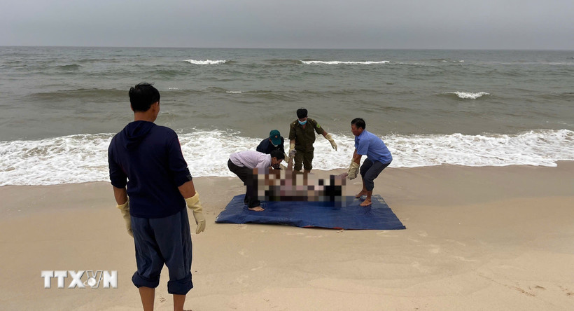 Thi thể nạn nhân được phát hiện trôi dạt tại bờ biển thôn Tân Định, xã Ninh Châu. (Ảnh: TTXVN phát)