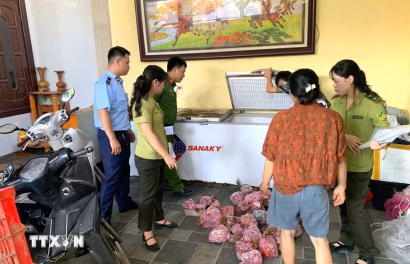 Thanh Hóa: Phát hiện, thu giữ 290 cá thể Cò hương cấp đông chờ tiêu thụ
