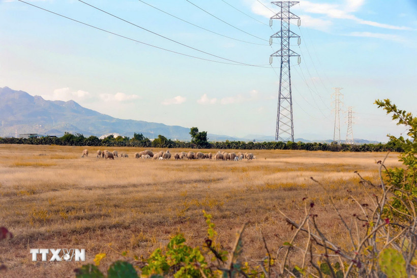 Trang trại điện gió và điện mặt trời của Trung Nam Group tại Thuận Nam, tỉnh Khánh Hòa. (Ảnh: Đặng Tuấn/TTXVN)