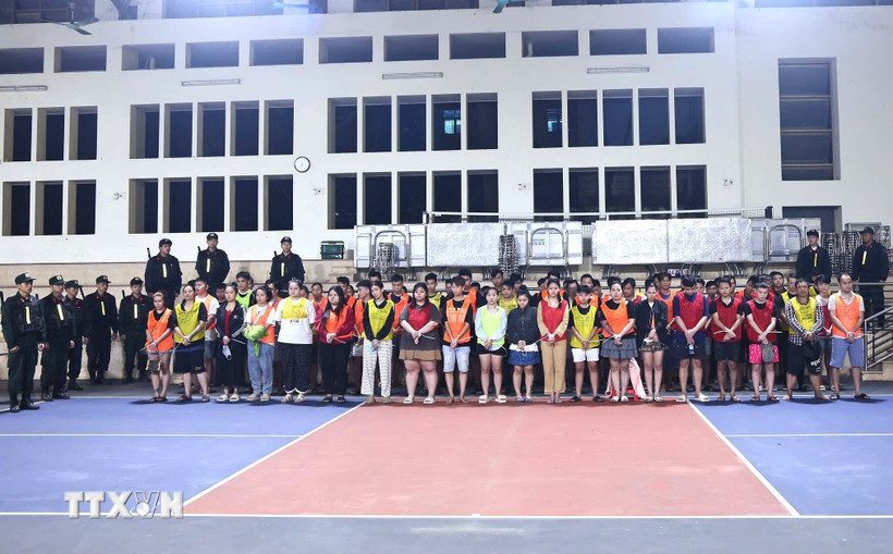 Lực lượng Công an tỉnh Tuyên Quang tiến hành phân loại, xác minh các đối tượng liên quan trong chuyên án lừa đảo xuyên quốc gia. (Ảnh: TTXVN phát)