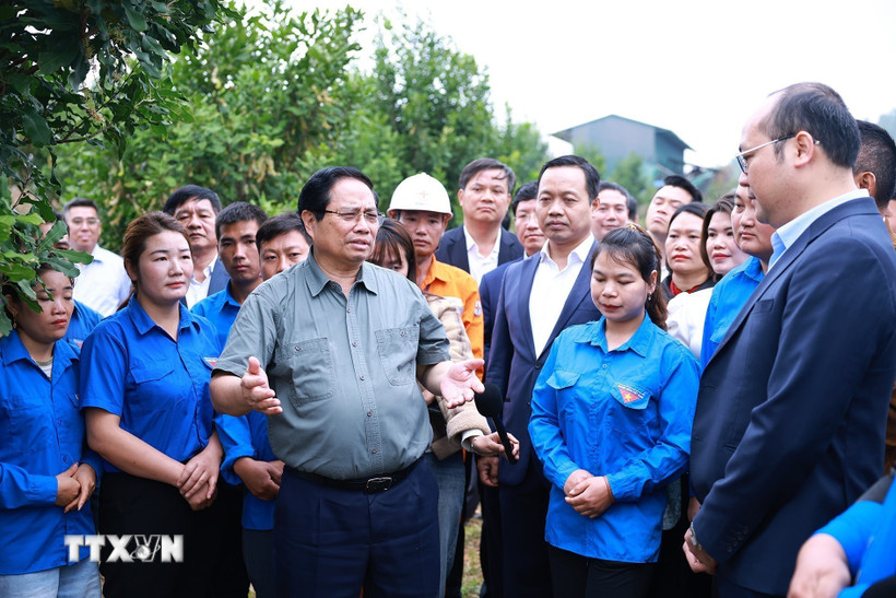 Thủ tướng Phạm Minh Chính thăm mô hình phát triển kinh tế nông nghiệp tại xã Pu Nhi, tỉnh Điện Biên. (Ảnh: Dương Giang/TTXVN)