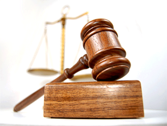 Cà Mau: Một doanh nghiệp bị cấm tham gia đấu thầu trong 3 năm ảnh 1