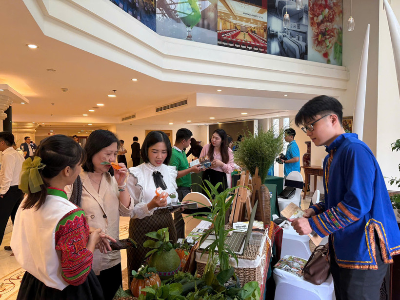 Khách tham quan tại Hội nghị quan tâm gian hàng giới thiệu du lịch y tế thông qua hình thức “chữa lành” từ các điểm du lịch tái tạo không gian Tây Bắc tại Thành phố Hồ Chí Minh. (Ảnh: PV/Vietnam+)