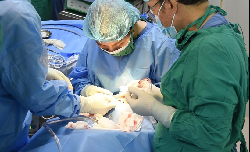 Bác sĩ thực hiện phẫu thuật ca chấn thương. (Ảnh: Khánh Ly/Vietnam+)