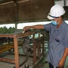 Mô hình nuôi chồn hương cho lợi nhuận đến 200 triệu đồng mỗi năm
