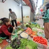 Nguồn cung thực phẩm rau xanh, thịt dồi dào tại các chợ trên địa bàn Thủ đô sau kỳ nghỉ Tết Nguyên đán. (Ảnh: Minh Hiếu/Vietnam+)
