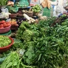 Giá rau xanh tại các chợ đã tăng gấp đôi so với 2 tuần trước. (Ảnh: Hiếu Hoàng/Vietnam+)