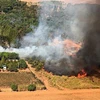 Khói lửa bốc lên từ đám cháy rừng tại khu vực Pantanal, bang Mato Grosso, Brazil. (Ảnh: AFP/TTXVN)