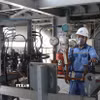 Một nhà máy điện rác. (Nguồn:: TTXVN)