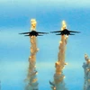Su30-MK2 tập luyện cho Triển lãm Quốc phòng quốc tế Việt Nam 2024