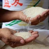 Gạo Việt Nam xuất khẩu đi Trung Quốc. )Ảnh: Hồng Đạt/TTXVN)